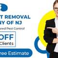 Pest Control Estimate In Northern NJ &ndash; ALCO Animal & Pest Control