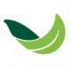 AUD 15,  Buy Plants Online Australia | Delivering Premium Greenery Nationwide