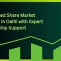 Skill Based Share Market Courses In Delhi With Expert Mentorship Support