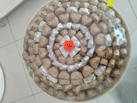 Mushrefah, Job Seekers, Chocolate Maker Or Driver For Company