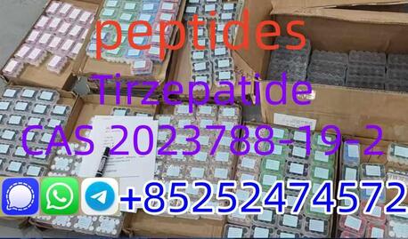 Tampa Bay, Health & Beauty Items, USD 20,  High Purity Peptides Of Factory Direct Sale.