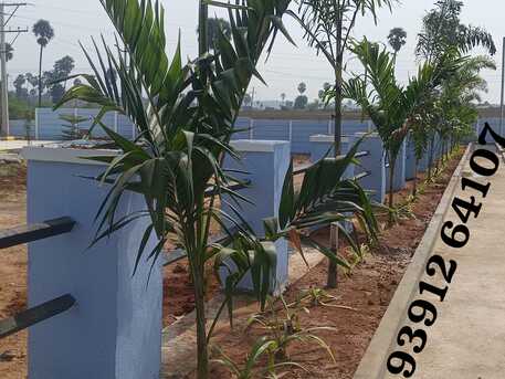 Hyderabad, Residential Plots, INR 21000,  150 Sq. Yard,  150 Sq. Yards Plot + 955 SFT 2BHK Independent House 55 LAKHS