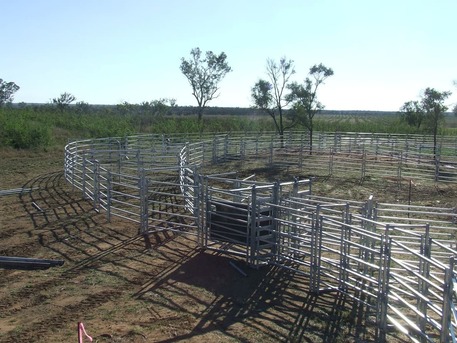 Sydney, Business, Cattle Yards In QLD