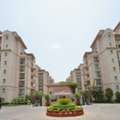 Luxury Flats At DLF Beverly Park 1 For Rent In Gurgaon