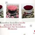 CHF 5,  Rosenbox Bestellen Leicht Gemacht &ndash; Stilvolle Rosenboxen F?r Besondere Momente