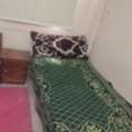 SAR 260/month,  Bachelor's Bad Space Indian
