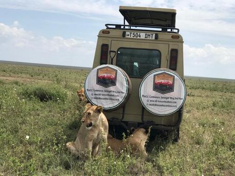 Dar es Salaam, Travel, Safari Extraordinary Wildlife Tour Experiences And Travel Deals