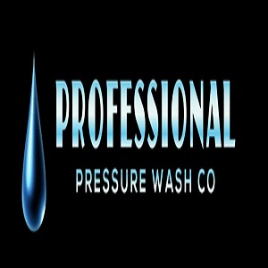 Sydney, Business, Professional Pressure Wash Co.