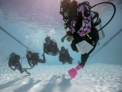 Bangkok, Marketing, Discover World-Class Liveaboard Diving Adventures With Wetzone Divers In Thailand
