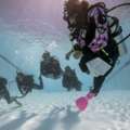 Discover World-Class Liveaboard Diving Adventures With Wetzone Divers In Thailand