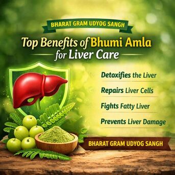 Mumbai, Health & Beauty Items, INR 680,  Top Benefits Of Bhumi Amla For Liver Care | Bharat Gram Udyog Sangh