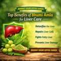 INR 680,  Top Benefits Of Bhumi Amla For Liver Care | Bharat Gram Udyog Sangh