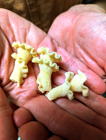 New York, Food, Discover Handmade Pasta Delights In Palm Springs Area