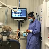 New York, Dental, Advanced Laser Bacterial Reduction For Healthier Gums!