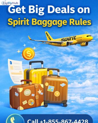 New York, Travel, Call +1-855-867-4428 Get Big Deals On Spirit Baggage Rules