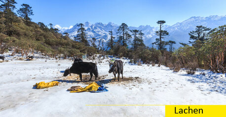 Kolkata, Travel, North Sikkim Package Tour From Mumbai