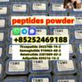 BSD 20, Hot Sale Peptide Peptides Powder Tirzepatide CAS 2023788-19-2