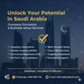 The Business Consultant (Business Start Up Formation & Support Services MISA & ZATCA)....