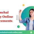 Uttaranchal University Online MBA Placements