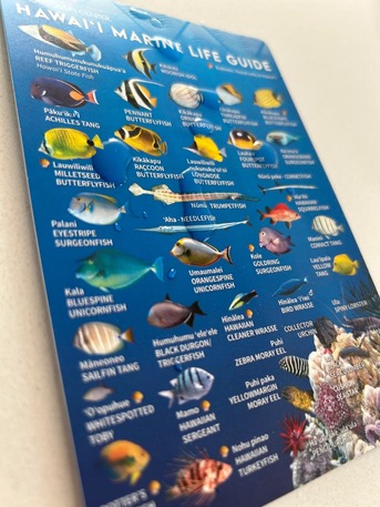 Toronto, Business, Plastic Lamination For Stone Paper &ndash; Waterproof Durable Finish | Rock Paper Co.