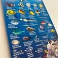 Plastic Lamination For Stone Paper &ndash; Waterproof Durable Finish | Rock Paper Co.