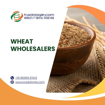 Lucknow, Food, INR 45,  Buy Bulk Wheat Directly From Global Sellers