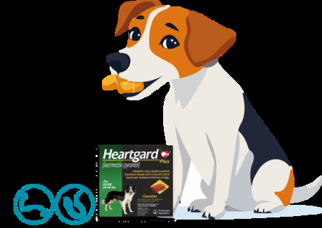 New York, Pet Supplies, USD 36,  Heartgard Plus For Dogs - Heartworm Preventions 20% OFF - PetCareClub
