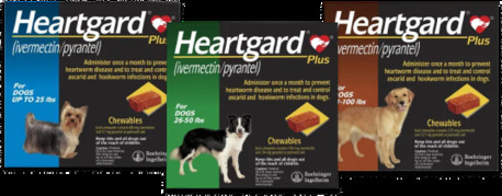 New York, Pet Supplies, USD 36,  Heartgard Plus For Dogs - Heartworm Preventions 20% OFF - PetCareClub