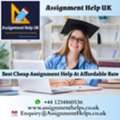 Experience Top-Quality Cheap Assignment Help Services
