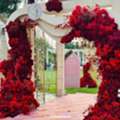 Destination Wedding Planner In Jaipur For Royal Celebrations