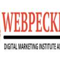 Webpeckers Digital Marketing Institute & Agency In Prayagraj Offering Training And Service