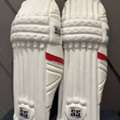Junior & Senior Cricket Pads Available | Buy AK Batting Pads