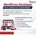 Custom WordPress & E-commerce Development By Expert Developers