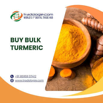 Lucknow, Food, INR 45,  Buy Bulk Turmeric Directly From Global Sellers
