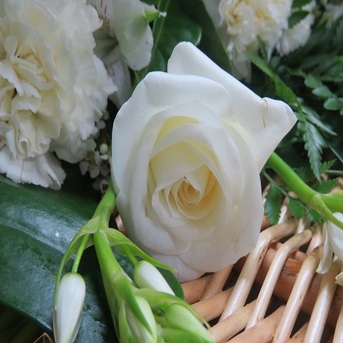 Sydney, Business, Seaside Funerals