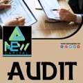Business Audit Management