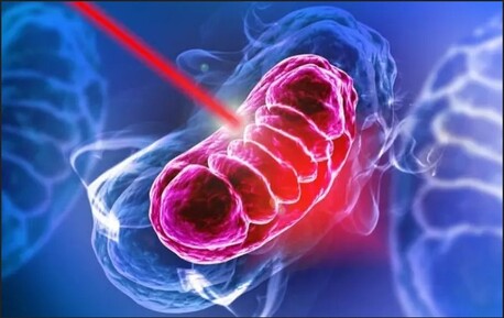 London, Health, Red Light Therapy London &ndash; Advanced Healing & Skin Rejuvenation