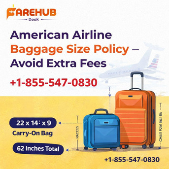 New York, Travel, American Airline Baggage Size Policy &ndash; Avoid Extra Fees
