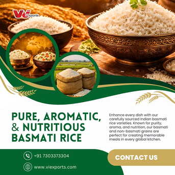 New Delhi, Food, INR 1,  Basmati Rice Exporter Company