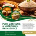INR 1,  Basmati Rice Exporter Company