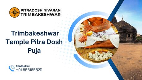 Mumbai, Business, How To Check Pitra Dosh In Kundali | Contact Now