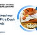 How To Check Pitra Dosh In Kundali | Contact Now