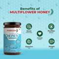 INR 280,  Pure Multifloral Honey 500gm | Raw, Unprocessed & Natural