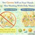 Are Germs Still On Your Hands After Washing With Only Water?