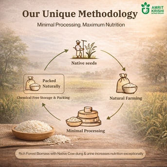 New Delhi, Food, Premium Kali Banga Basmati Rice Available Online