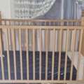 SAR 200,  URGENT SELL!!!! JUNIORS BABY CRIB