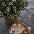 Dear Hiring Manager,  I Am Writing To Express My Interest In The Barista Position At Your
