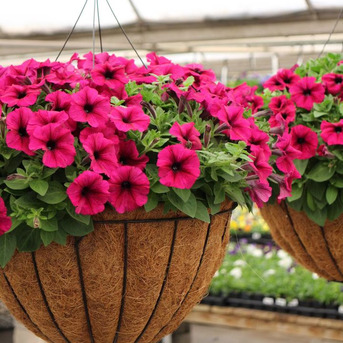 Miami, Farm & Garden, USD 100,  &bull;America&rsquo;s Trusted Garden Solutions
