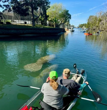 New York, Travel, Manatee Kayak Tours Florida | Crystal River Kayaking Trips