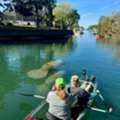 Manatee Kayak Tours Florida | Crystal River Kayaking Trips